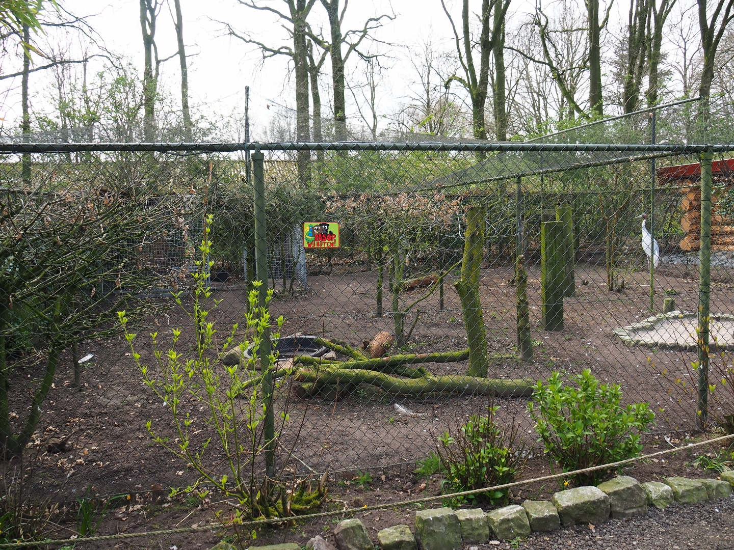 Indian sarus crane aviary, 2019-04-06