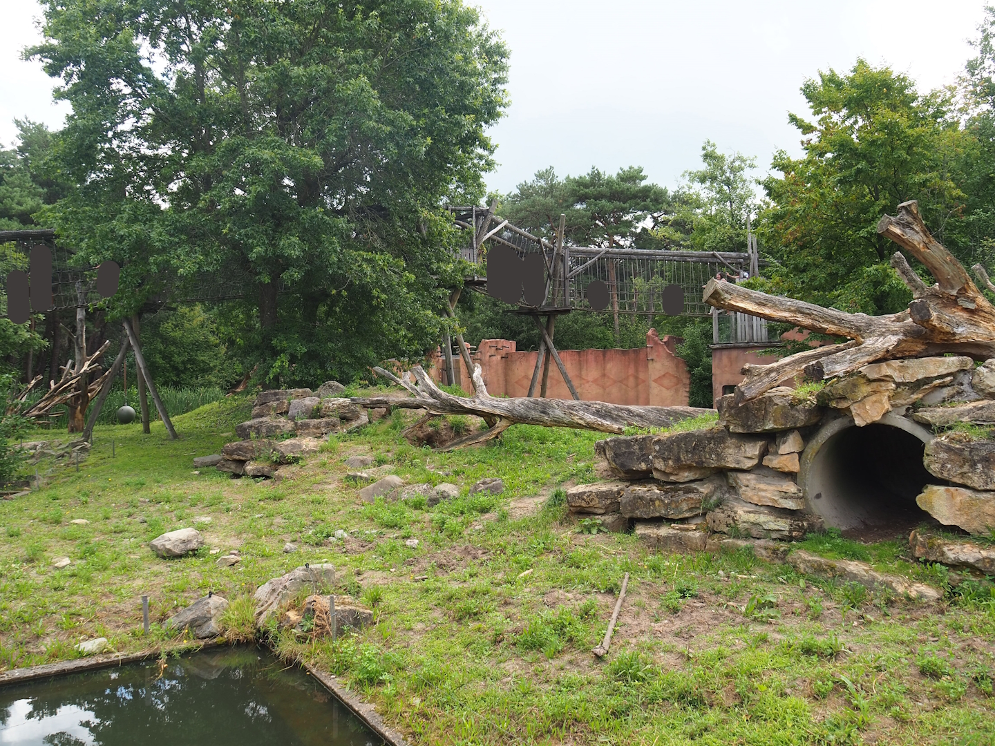 Indian sloth bear and Asian small-clawed otter exhibit, 2023-08-15