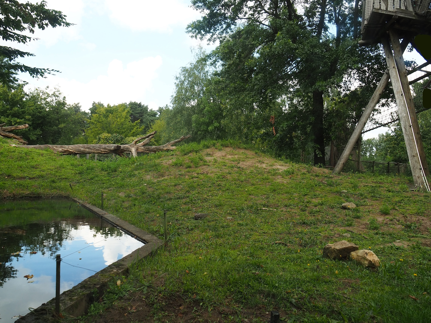 Indian sloth bear and Asian small-clawed otter exhibit, 2023-08-15