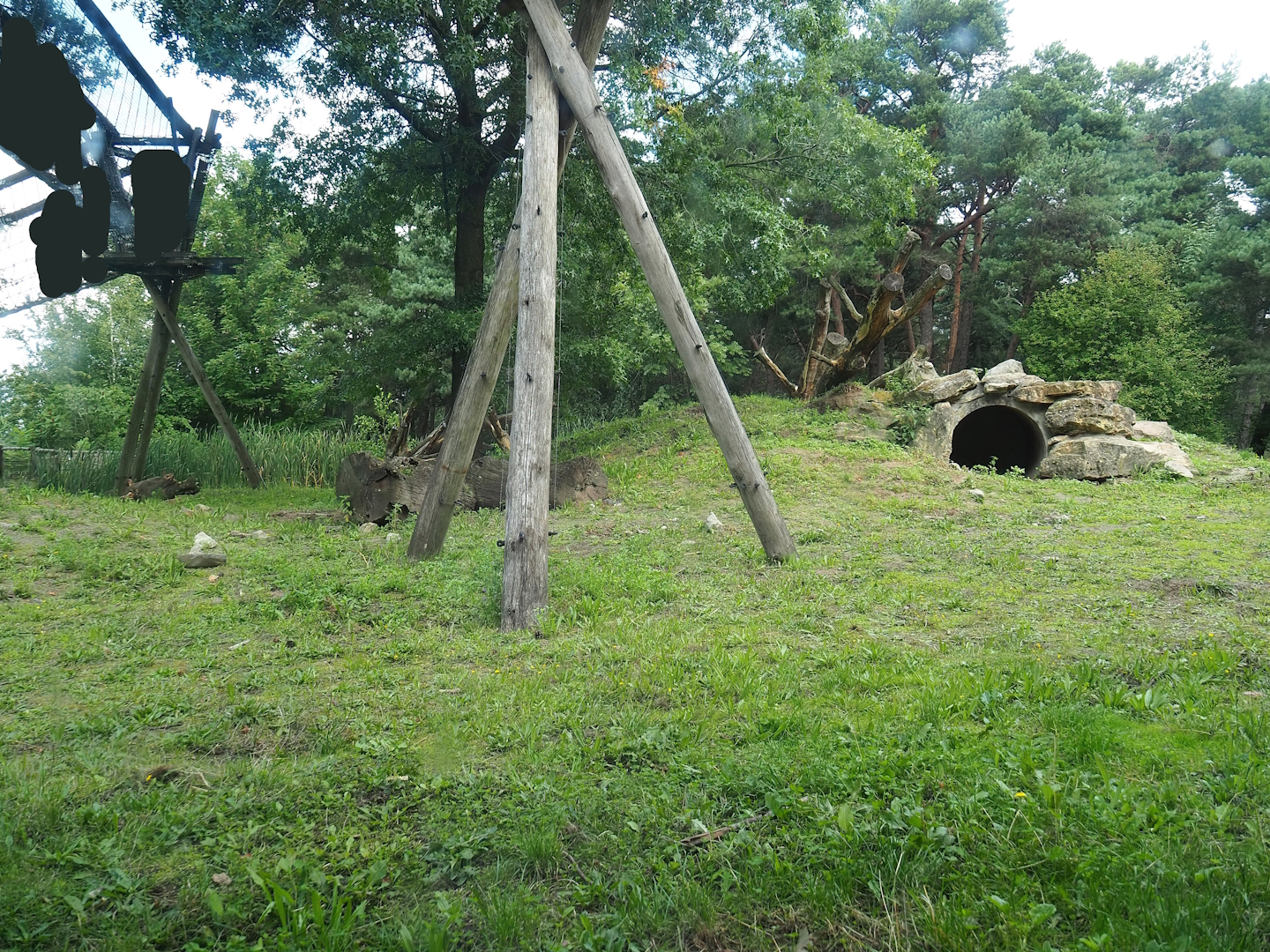 Indian sloth bear and Asian small-clawed otter exhibit, 2023-08-15