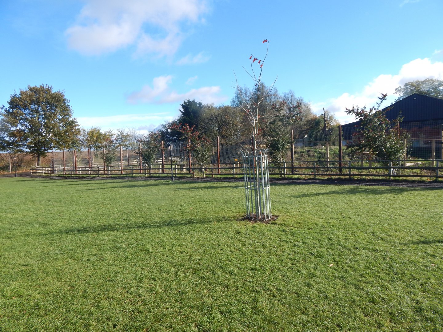 Indian sloth bear enclosure 021125