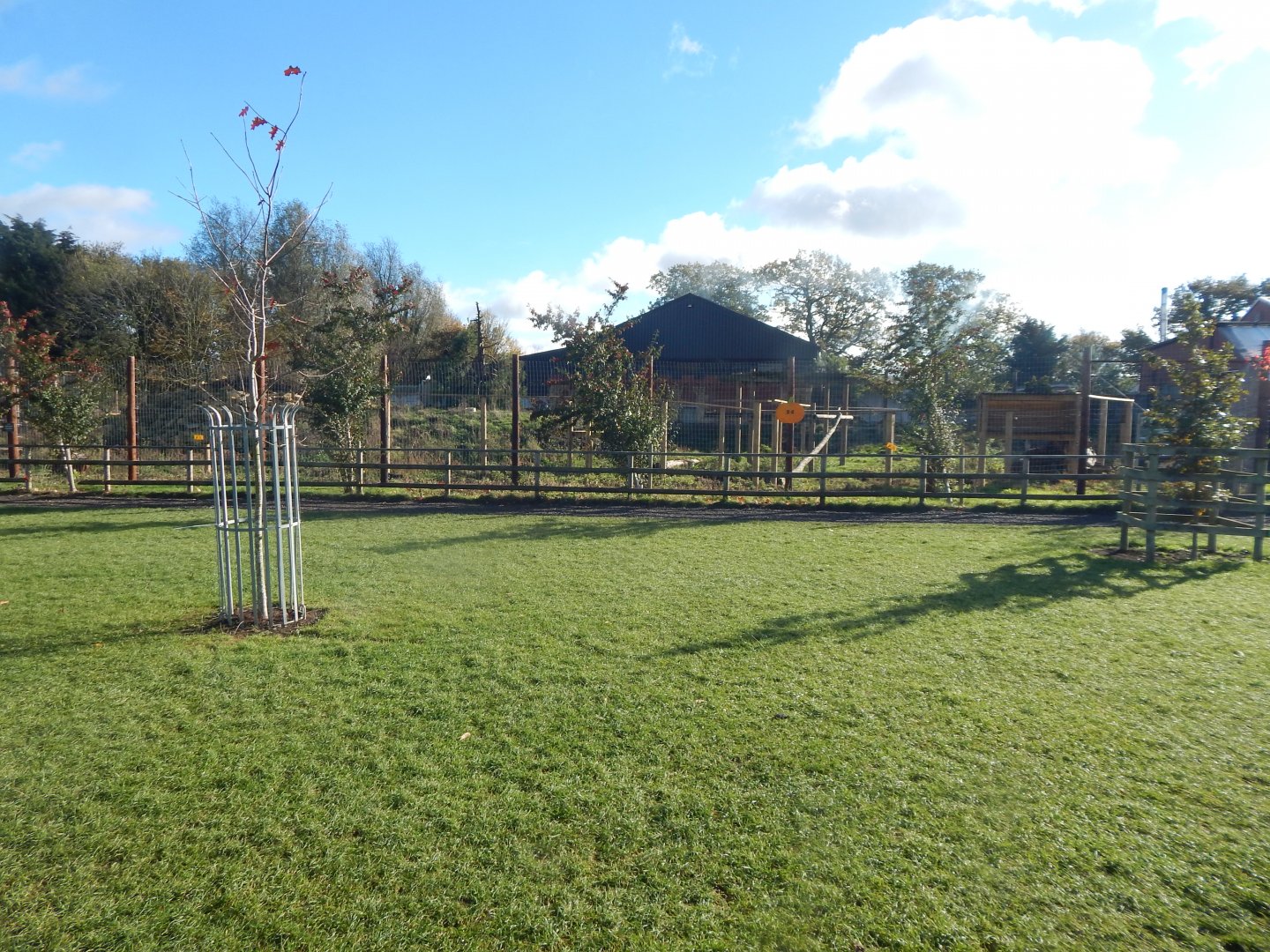 Indian sloth bear enclosure 021125