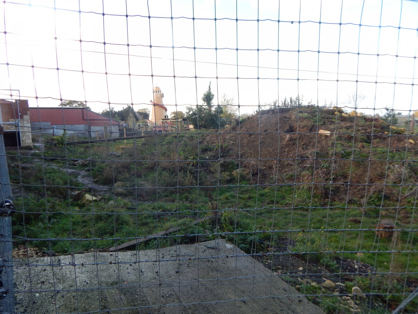 Indian sloth bear enclosure 021125