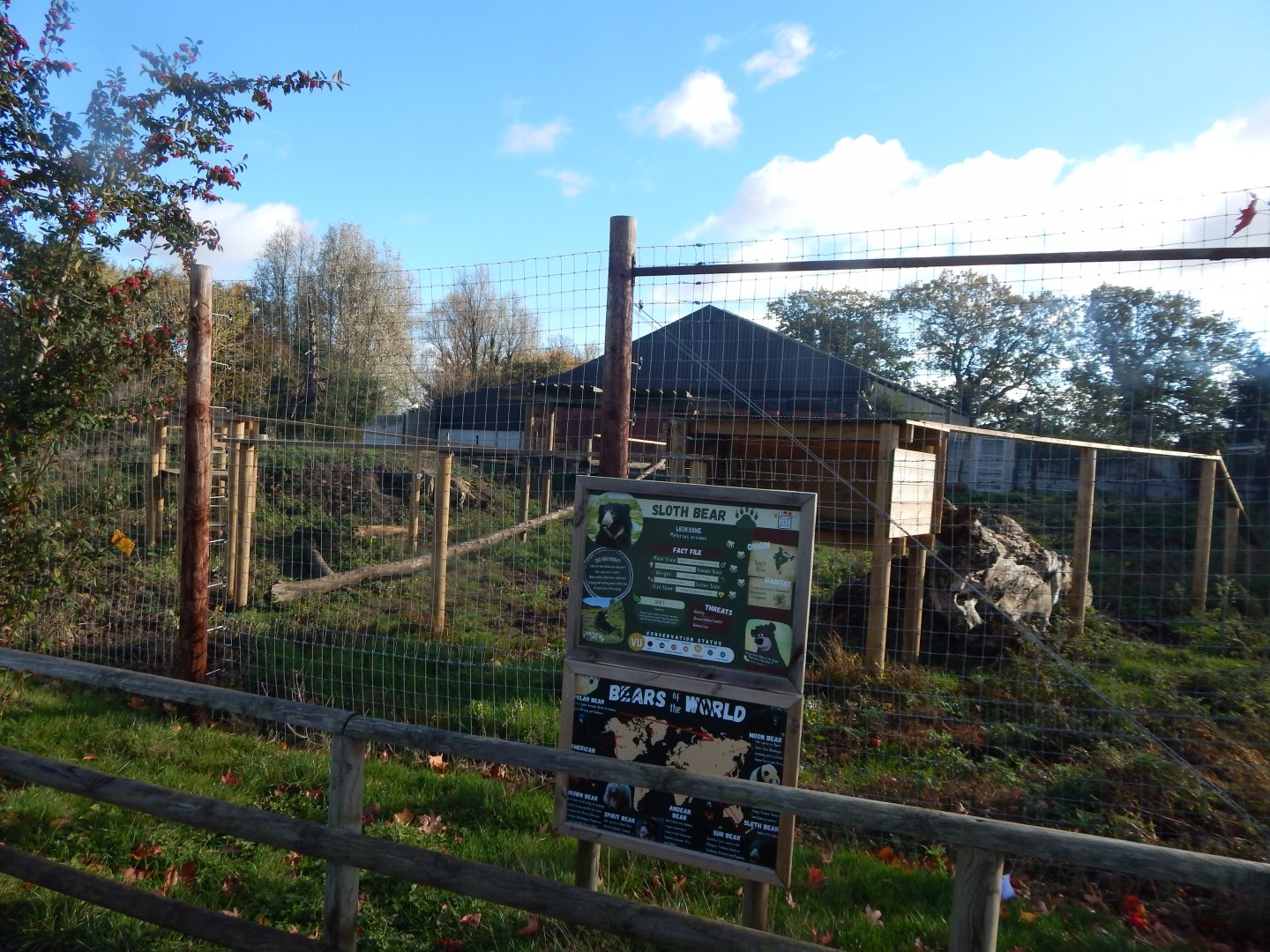 Indian sloth bear enclosure 021125