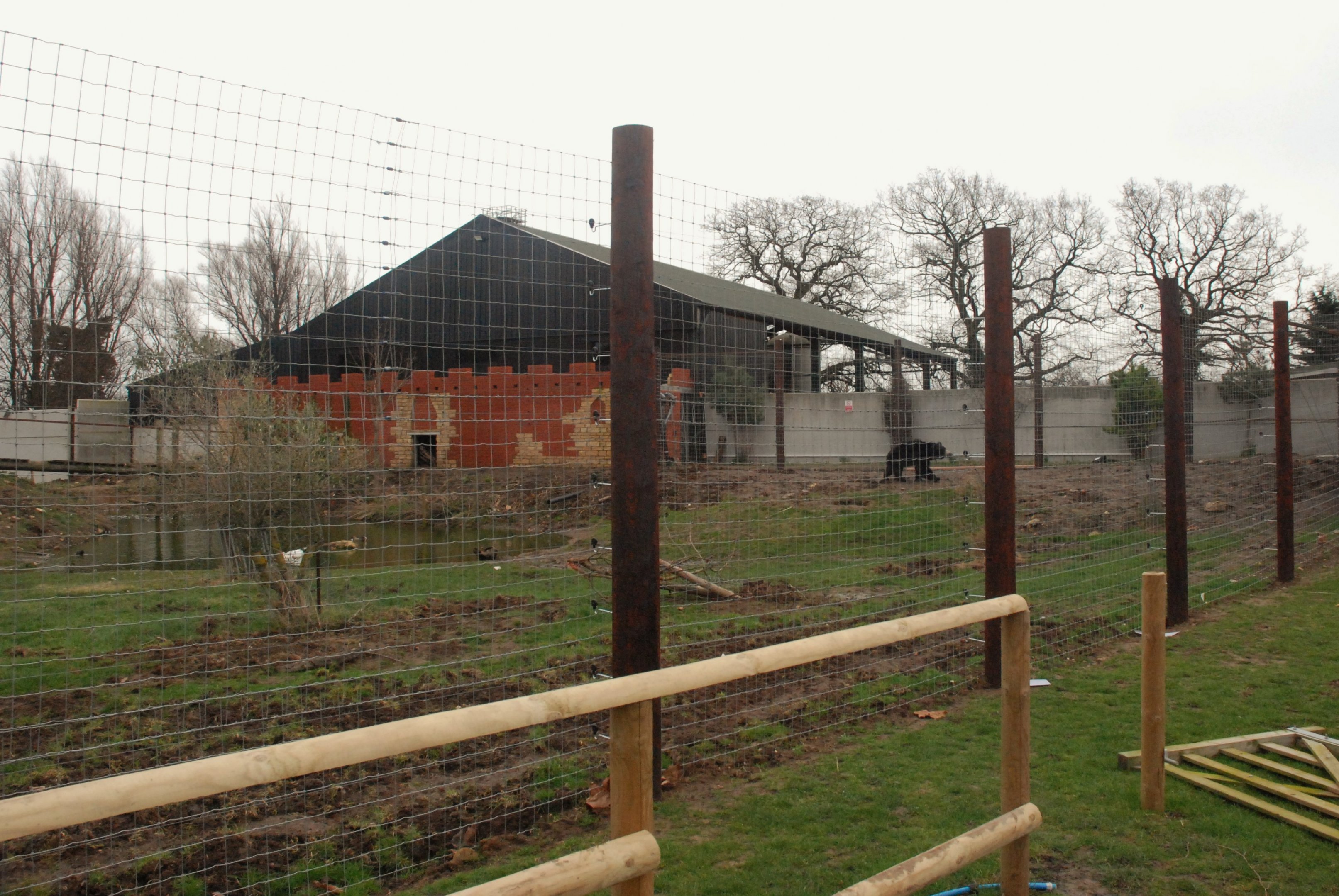Indian Sloth Bear Enclosure at Johnson's of Old Hurst, 19th February 2022