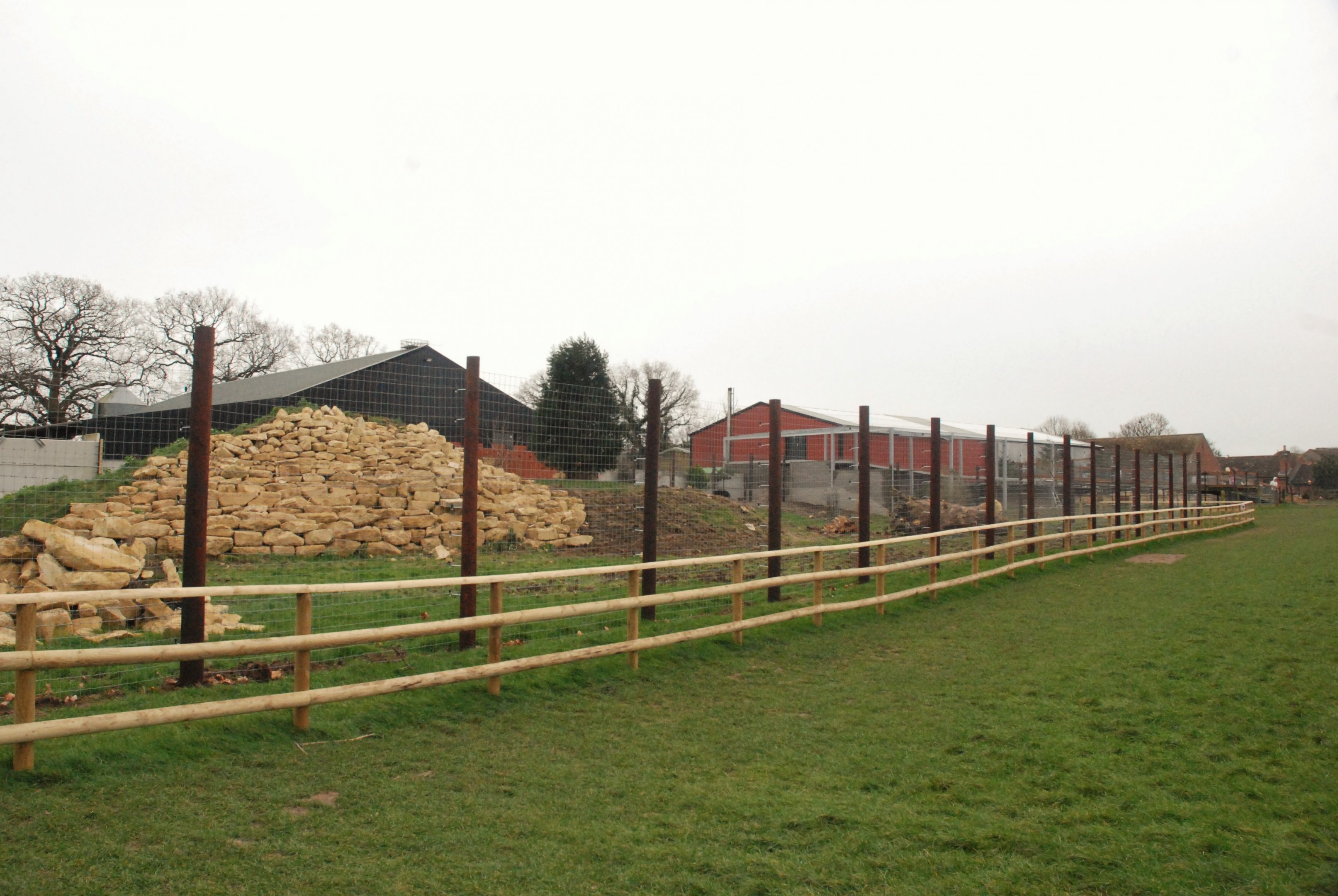 Indian Sloth Bear Enclosure at Johnson's of Old Hurst, 19th February 2022