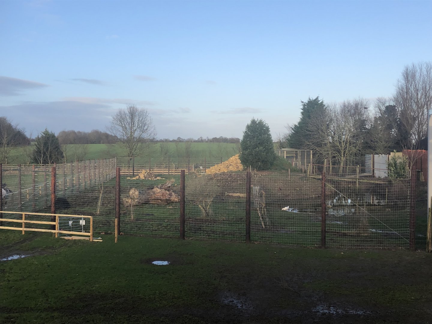 Indian Sloth Bear Enclosure
