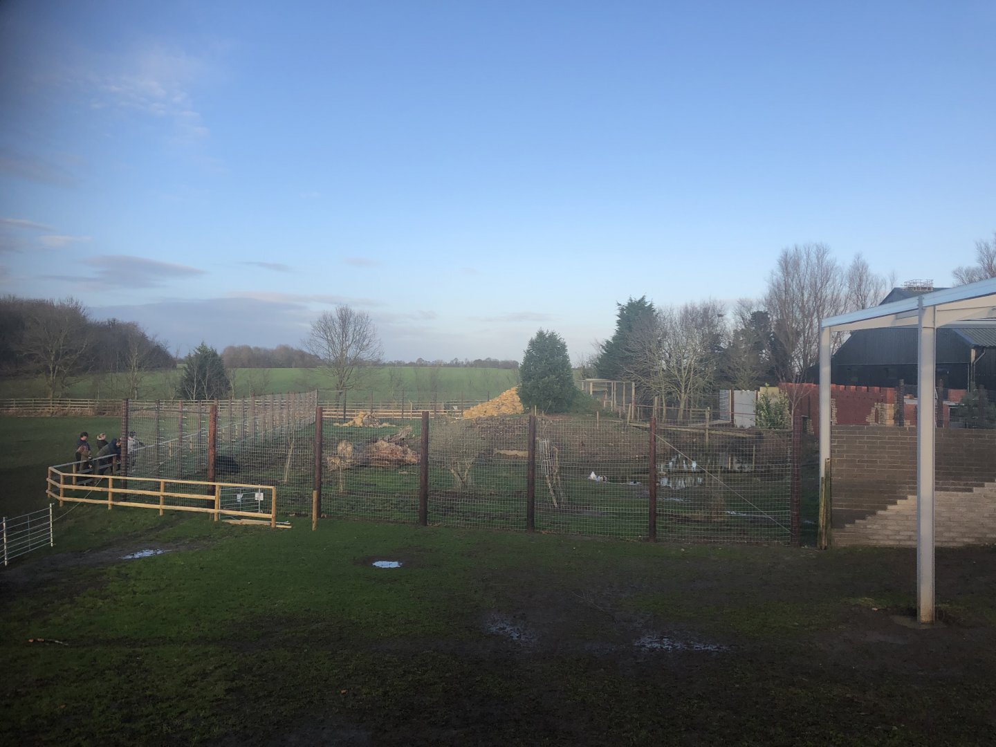 Indian Sloth Bear Enclosure