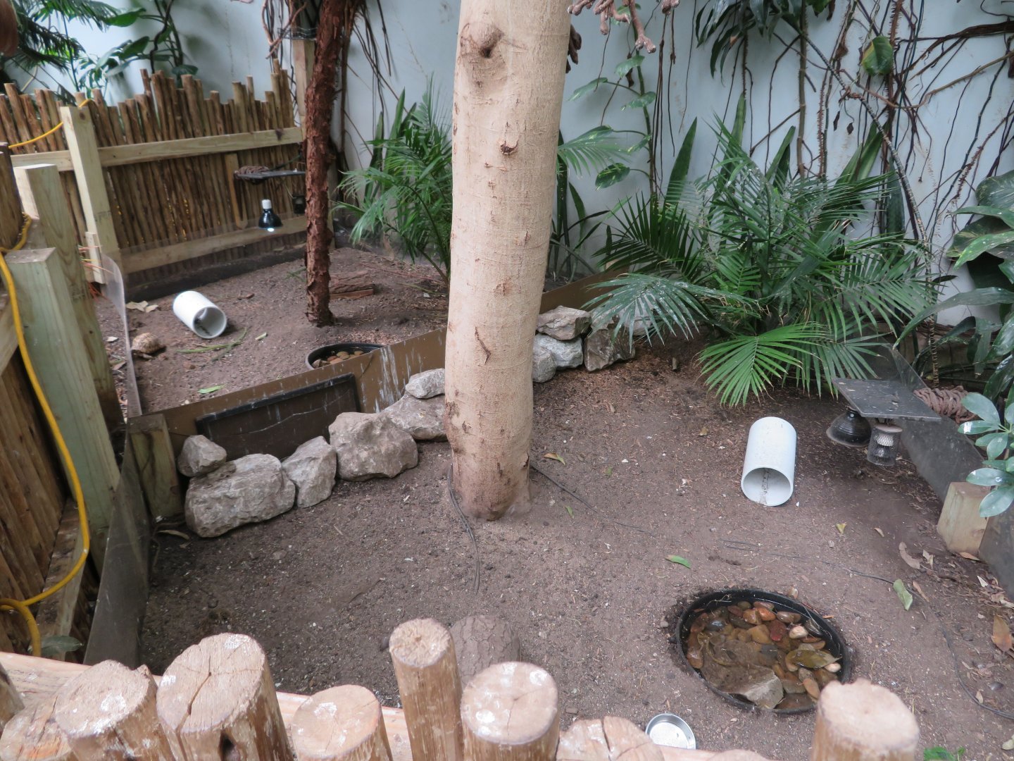 Indian Star Tortoise Enclosures