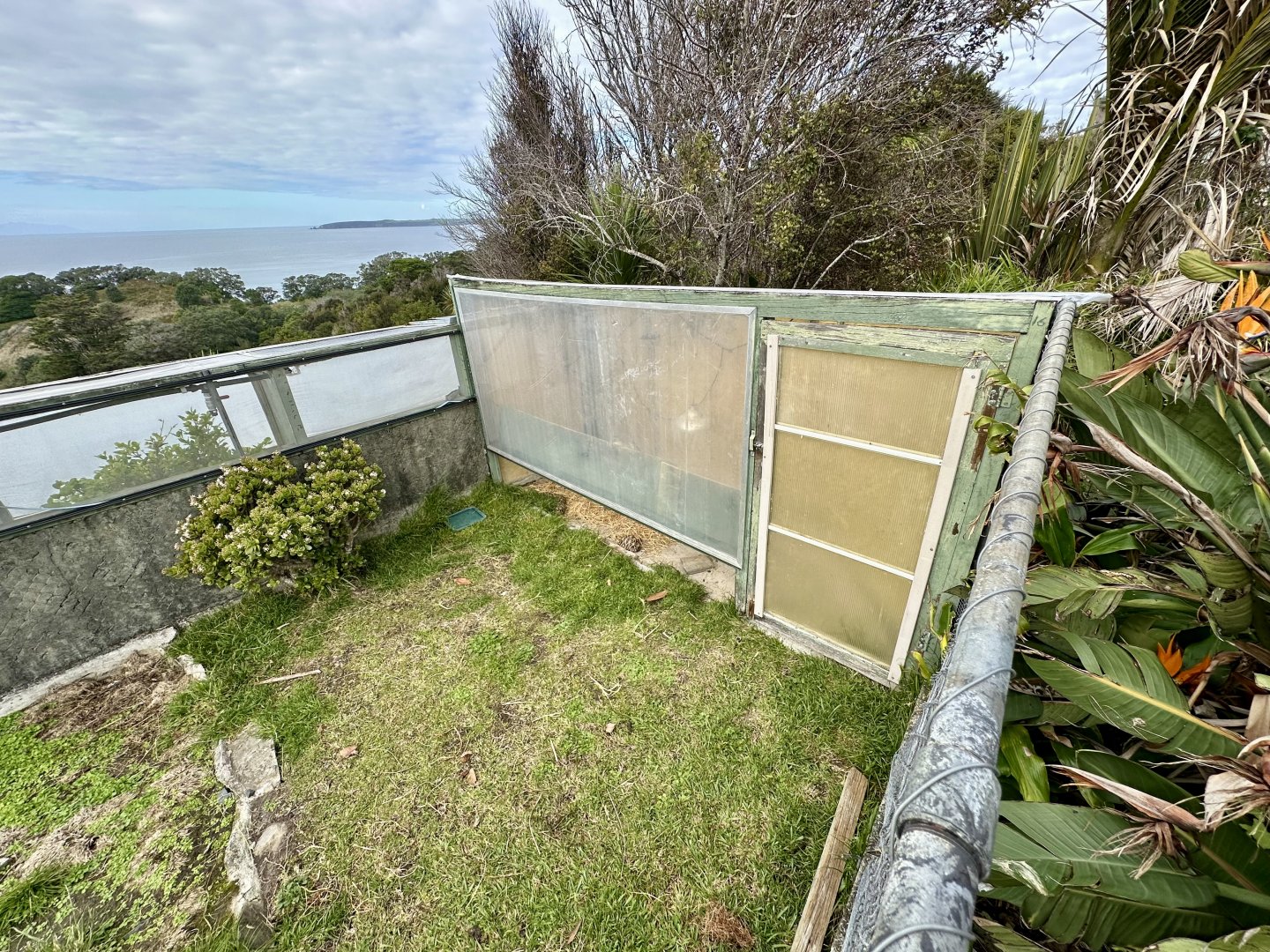 Indian Star Tortoise House (Juveniles)