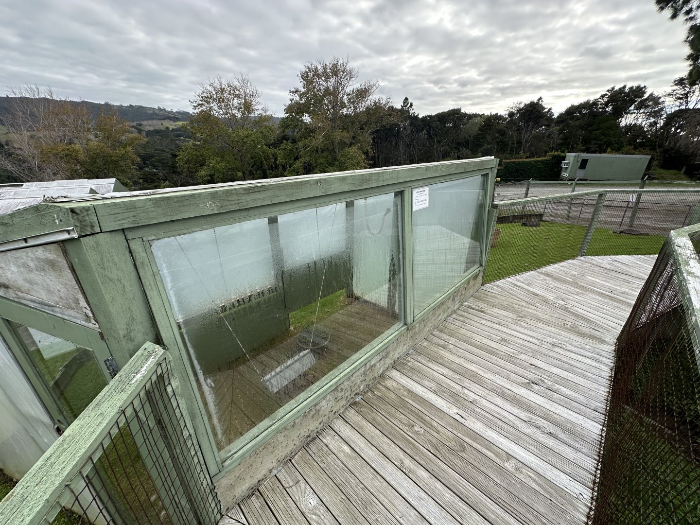 Indian Star Tortoise House