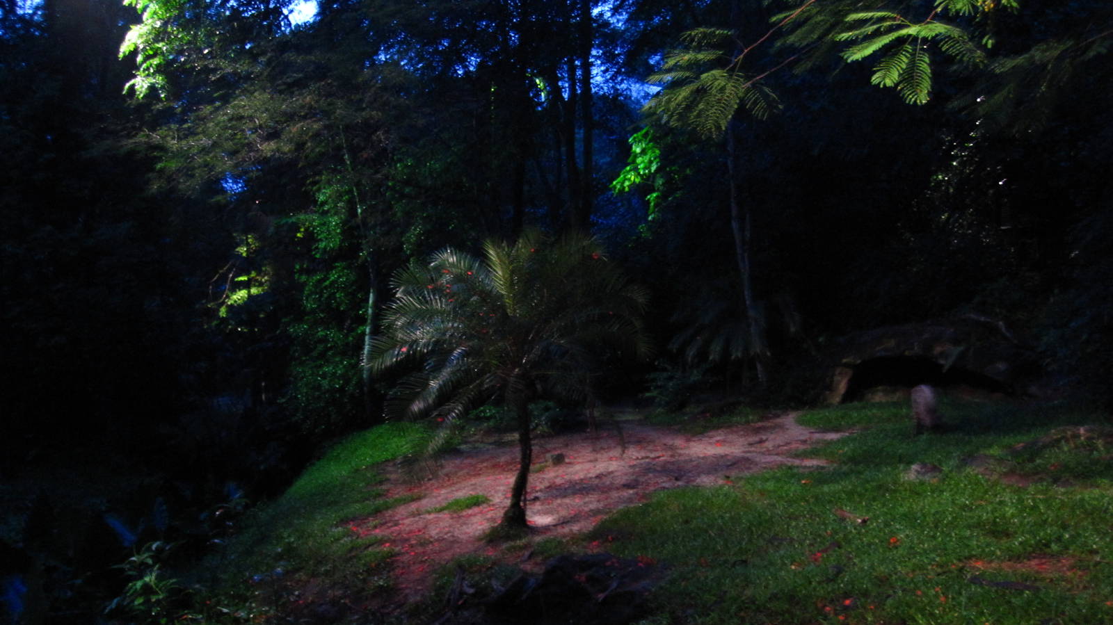 Indian Subcontinent - Striped Hyena exhibit