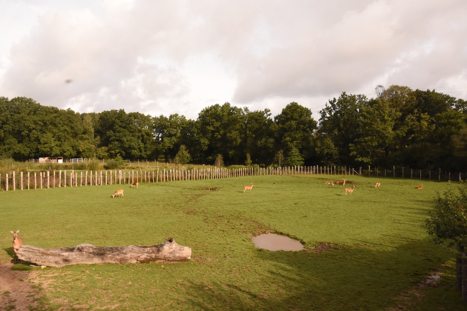 Indian valley, second enclosure