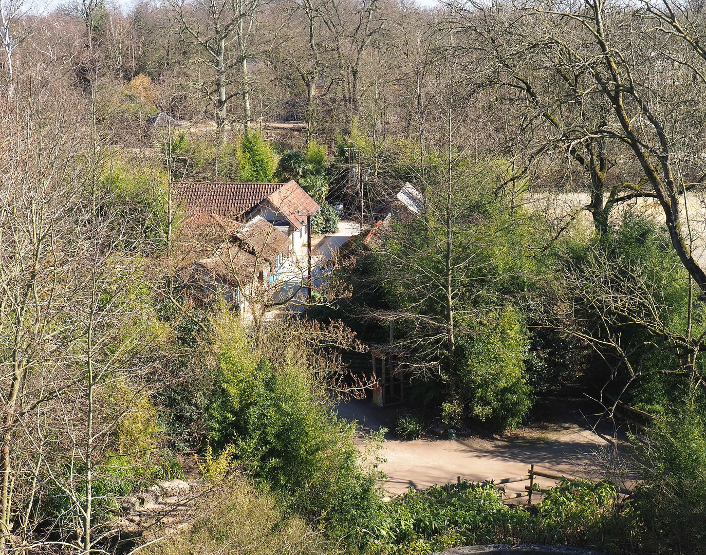 Indian village seen from the tree-top walk, 2022-03-08
