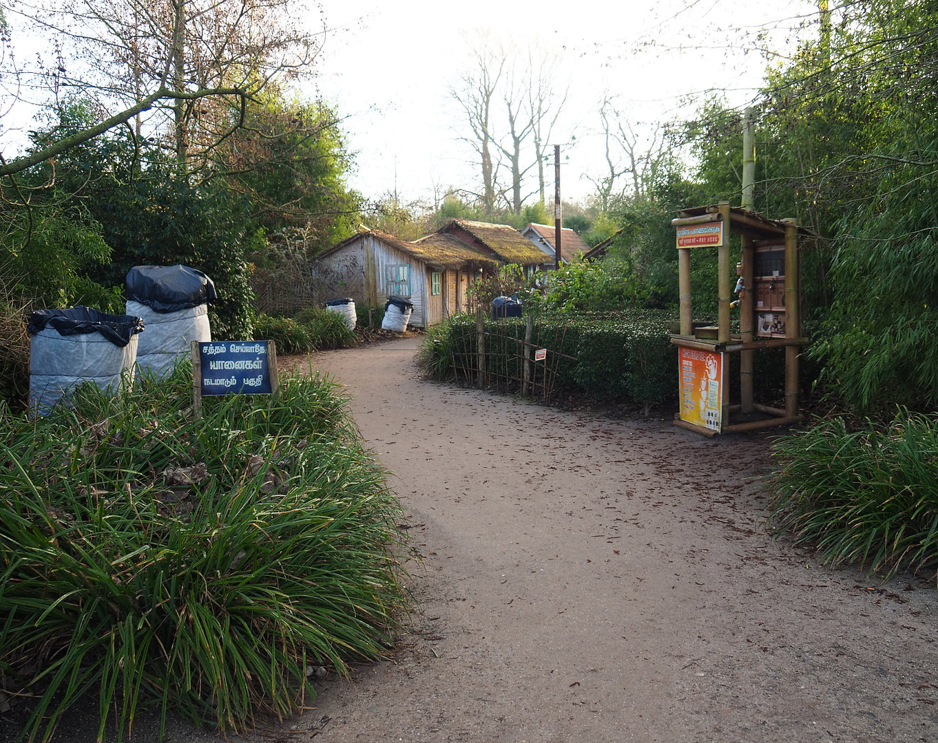 Indian village with tea plantation and banana planters in winter packaging, 2022-01-30