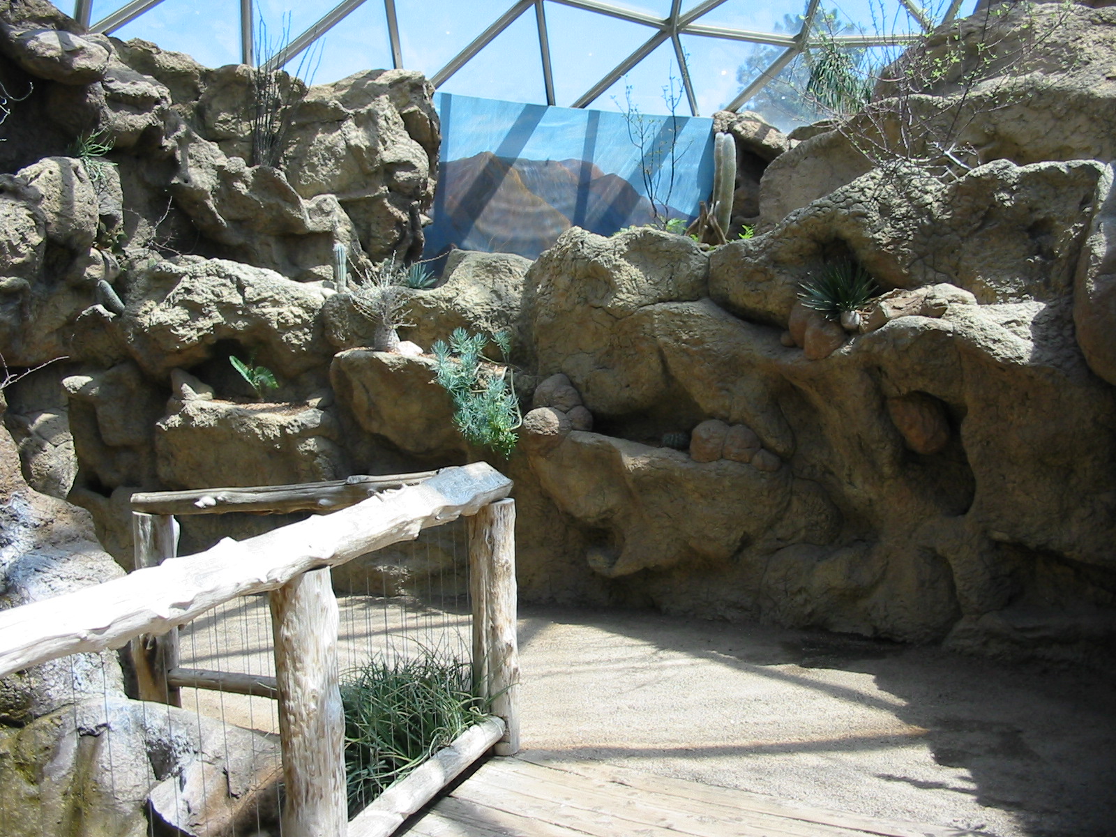 Indianapolis Zoo 2003 - Inside the Desert Dome