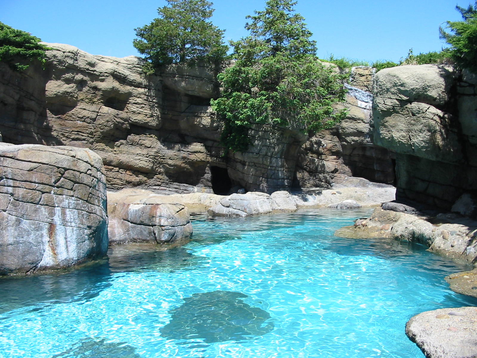 Indianapolis Zoo 2003 - Mixed Pinniped exhibit