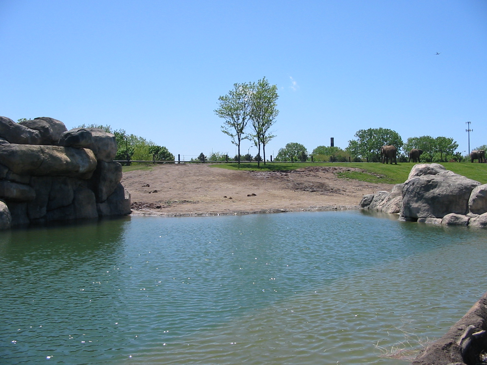 Indianapolis Zoo 2003 - Part of the African Elephant exhibit in the Plains