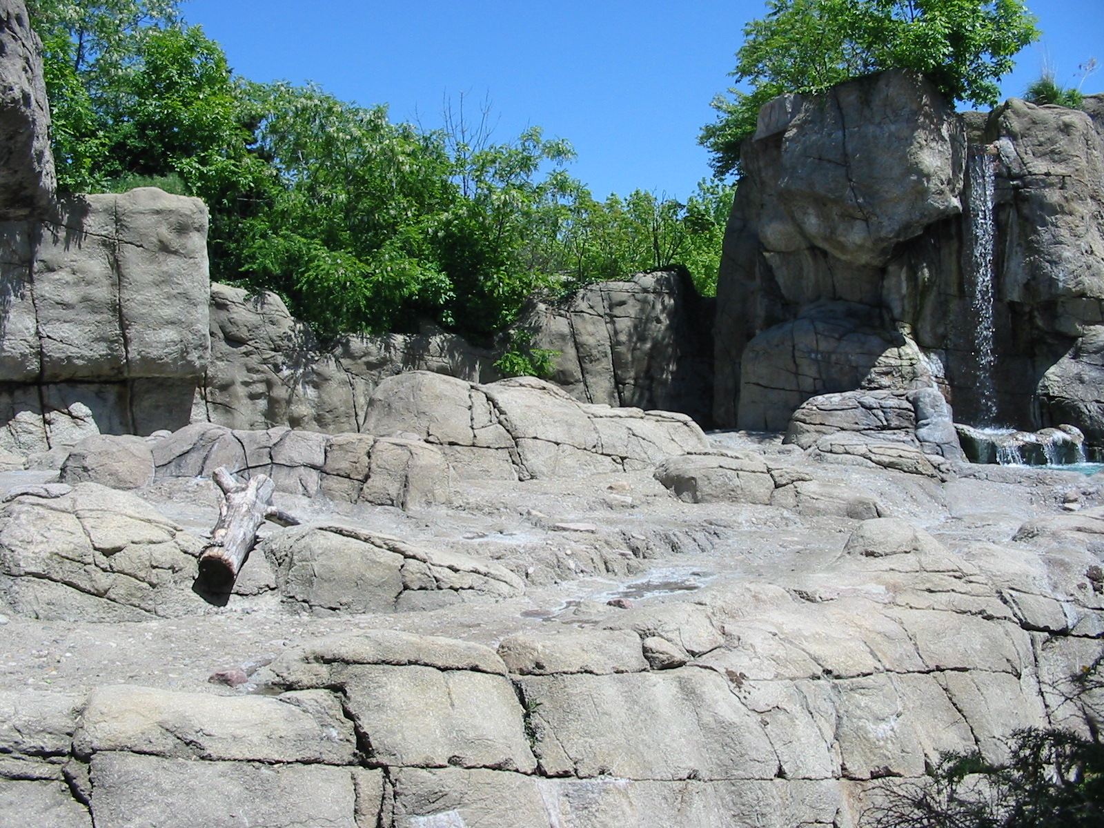 Indianapolis Zoo 2003 - Polar Bear exhibit