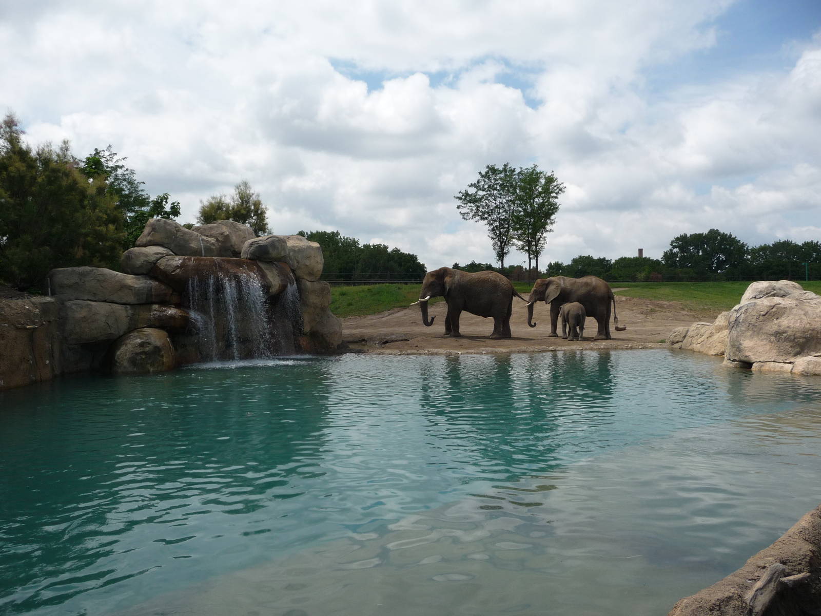 Indianapolis Zoo - African Elephant Exhibit