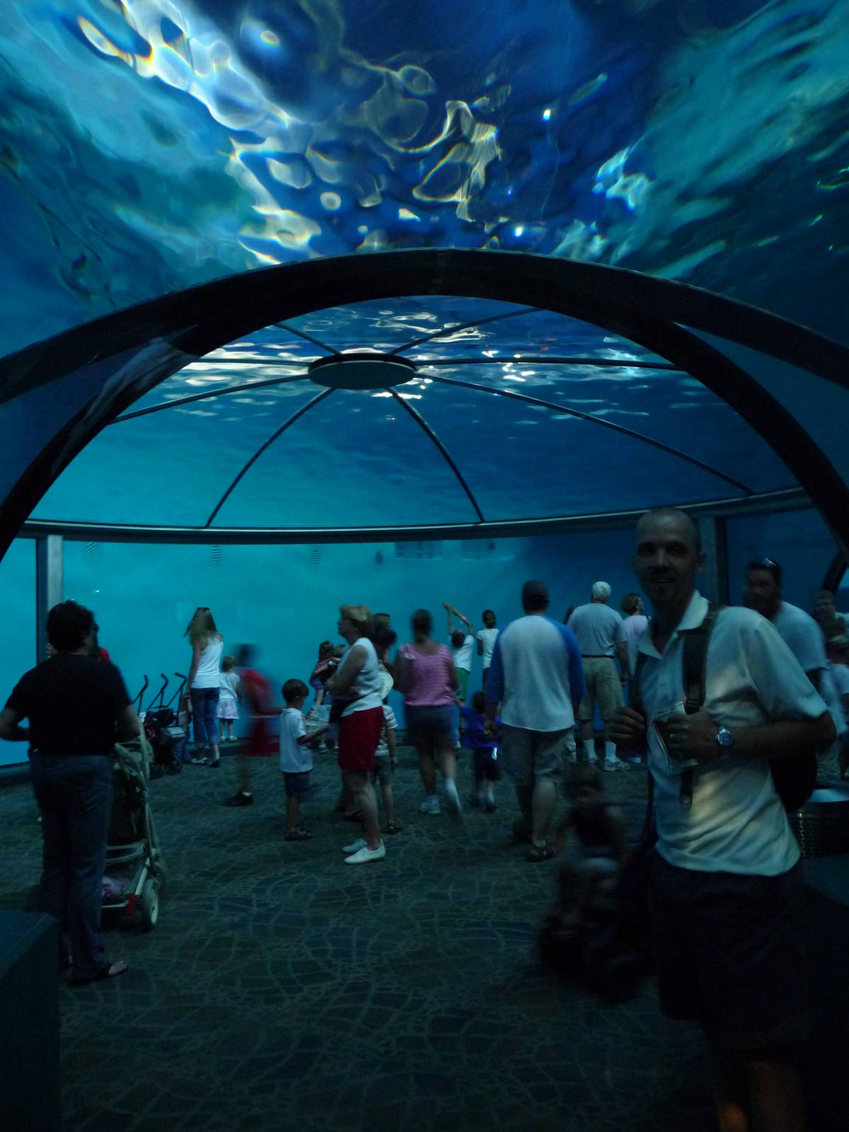 Indianapolis Zoo - Dolphin Dome