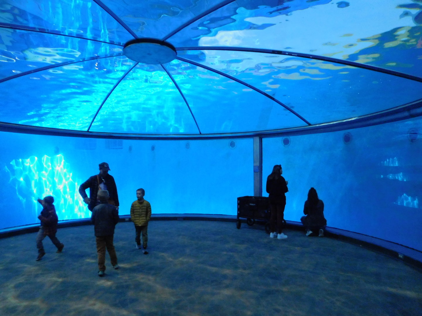 Indianapolis Zoo- Dolphin Dome