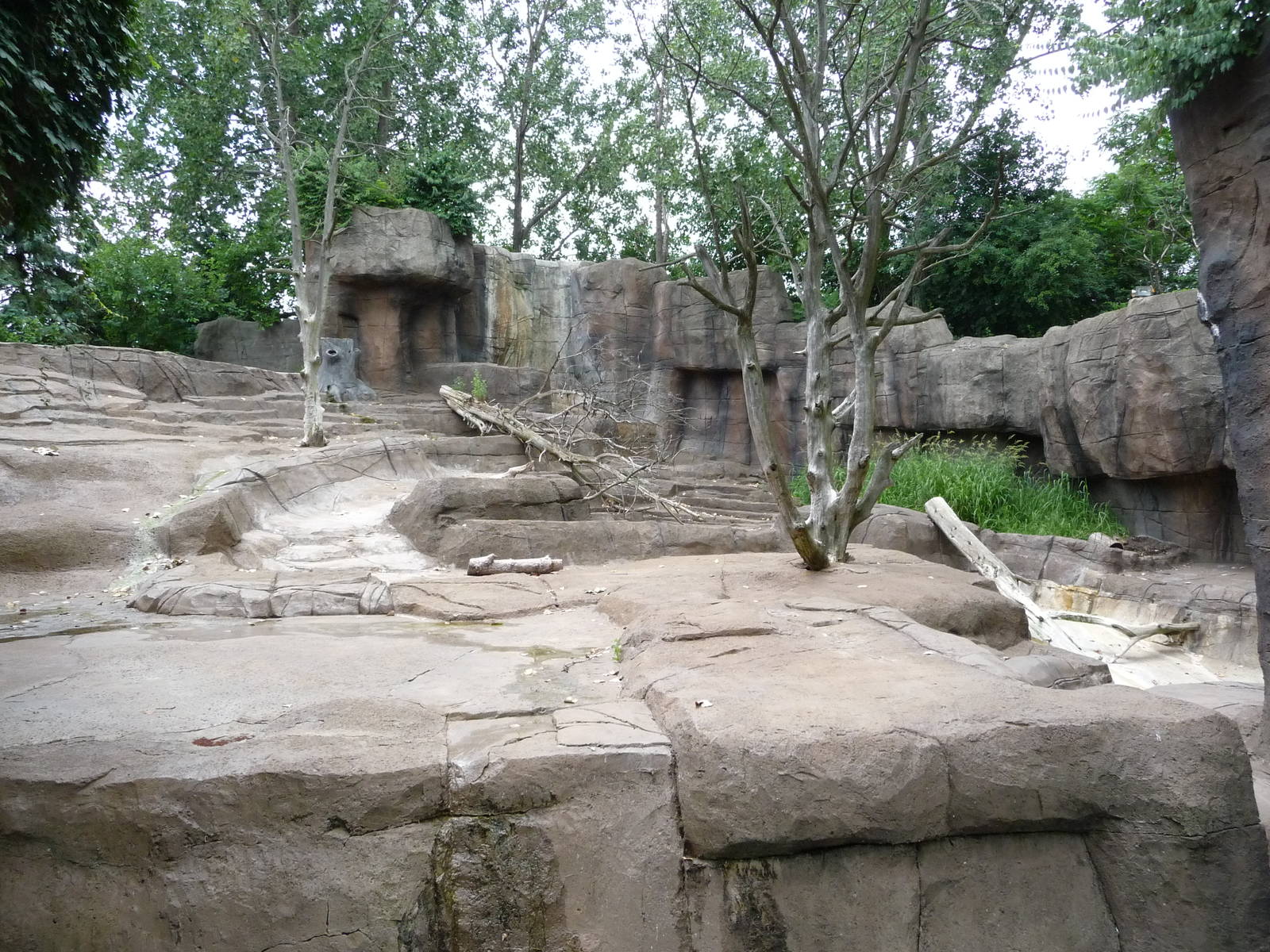 Indianapolis Zoo - Old Bear Exhibit