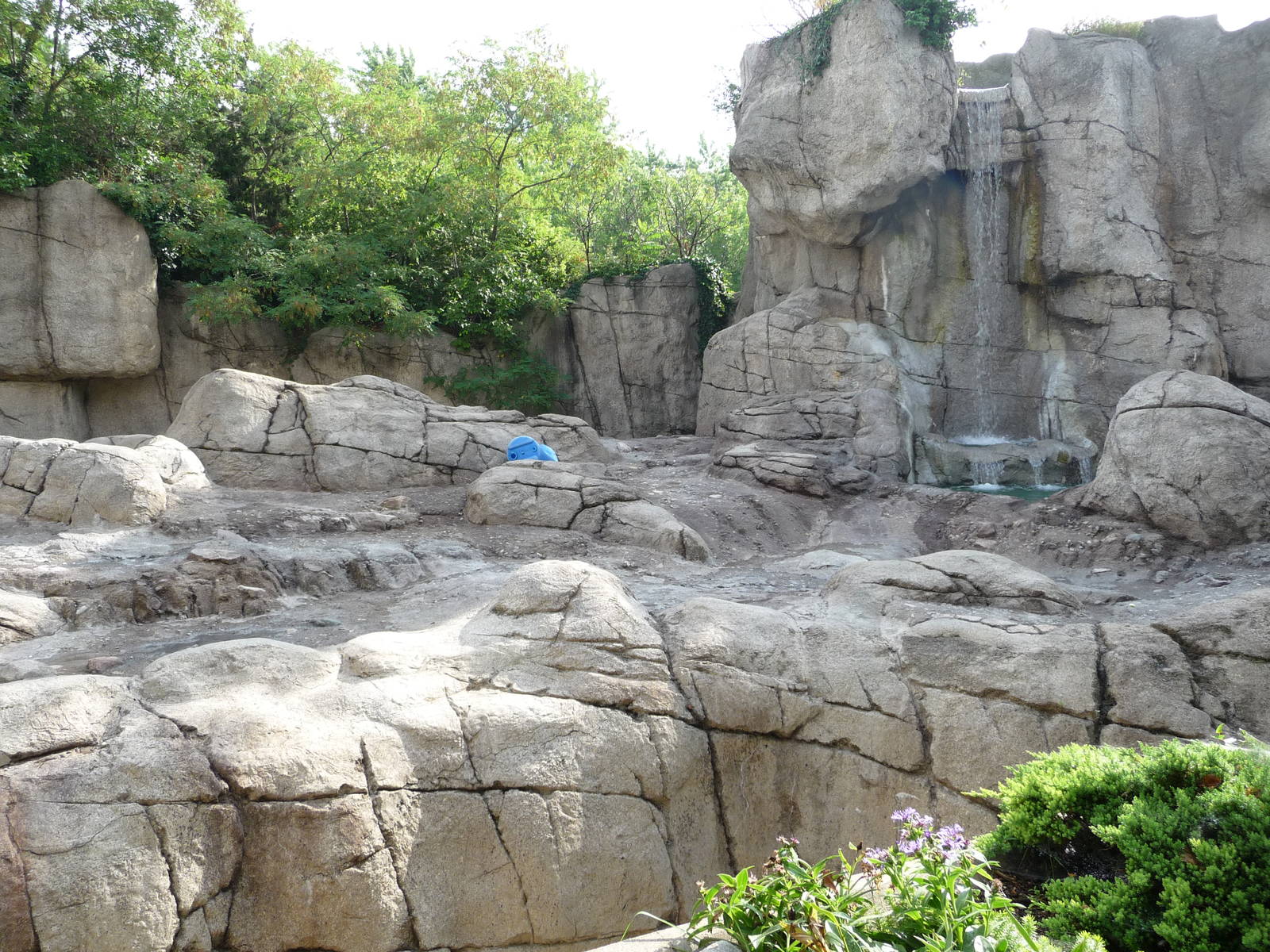 Indianapolis Zoo - Polar Bear Exhibit