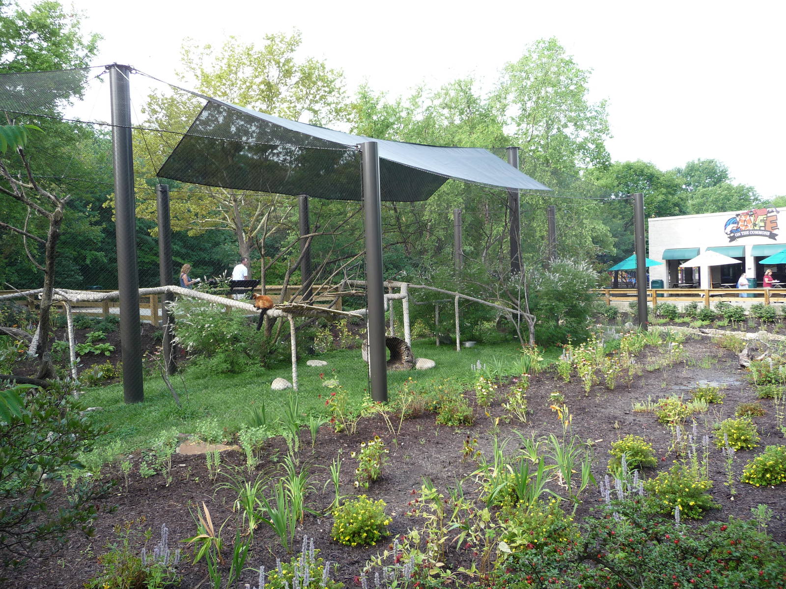 Indianapolis Zoo - Red Ruffed Lemur Exhibit
