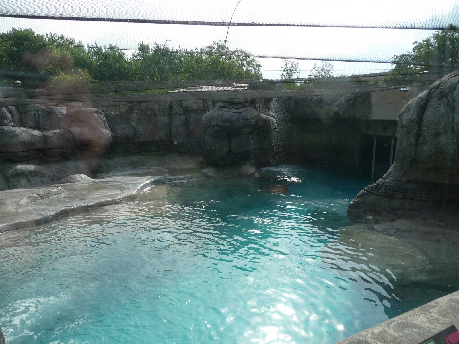 Indianapolis Zoo - Walrus Exhibit