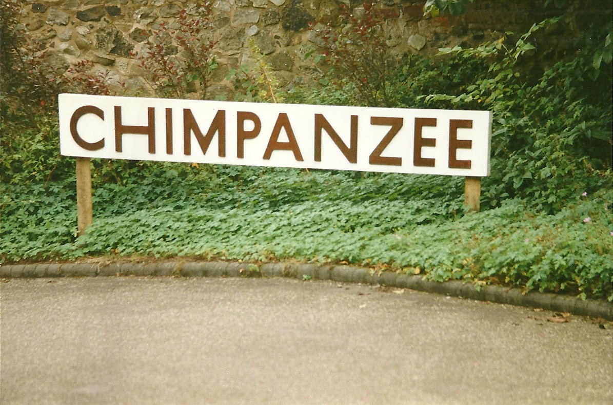 Indicating the way to the viewing area 19th September 1998