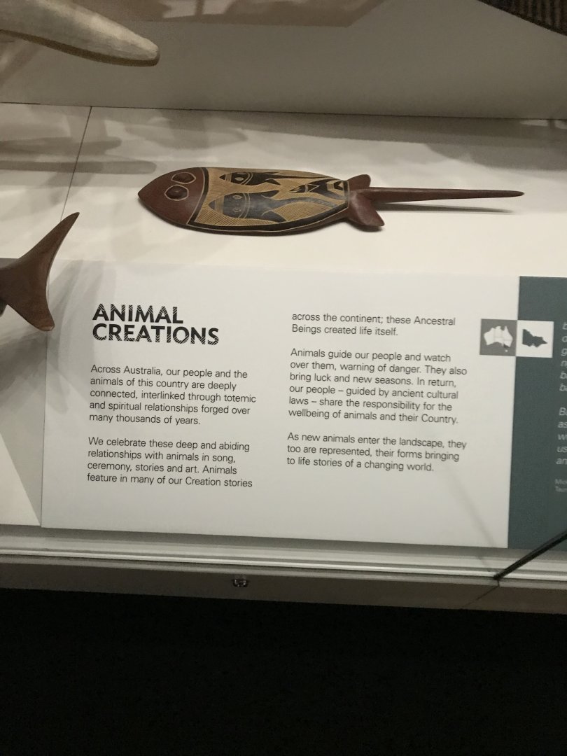 Indigenous Australian Stingray