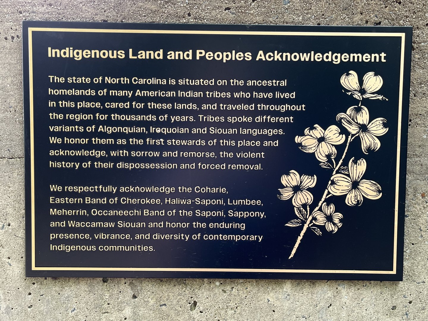 Indigenous Land and Peoples Acknowledgement at Prairie
