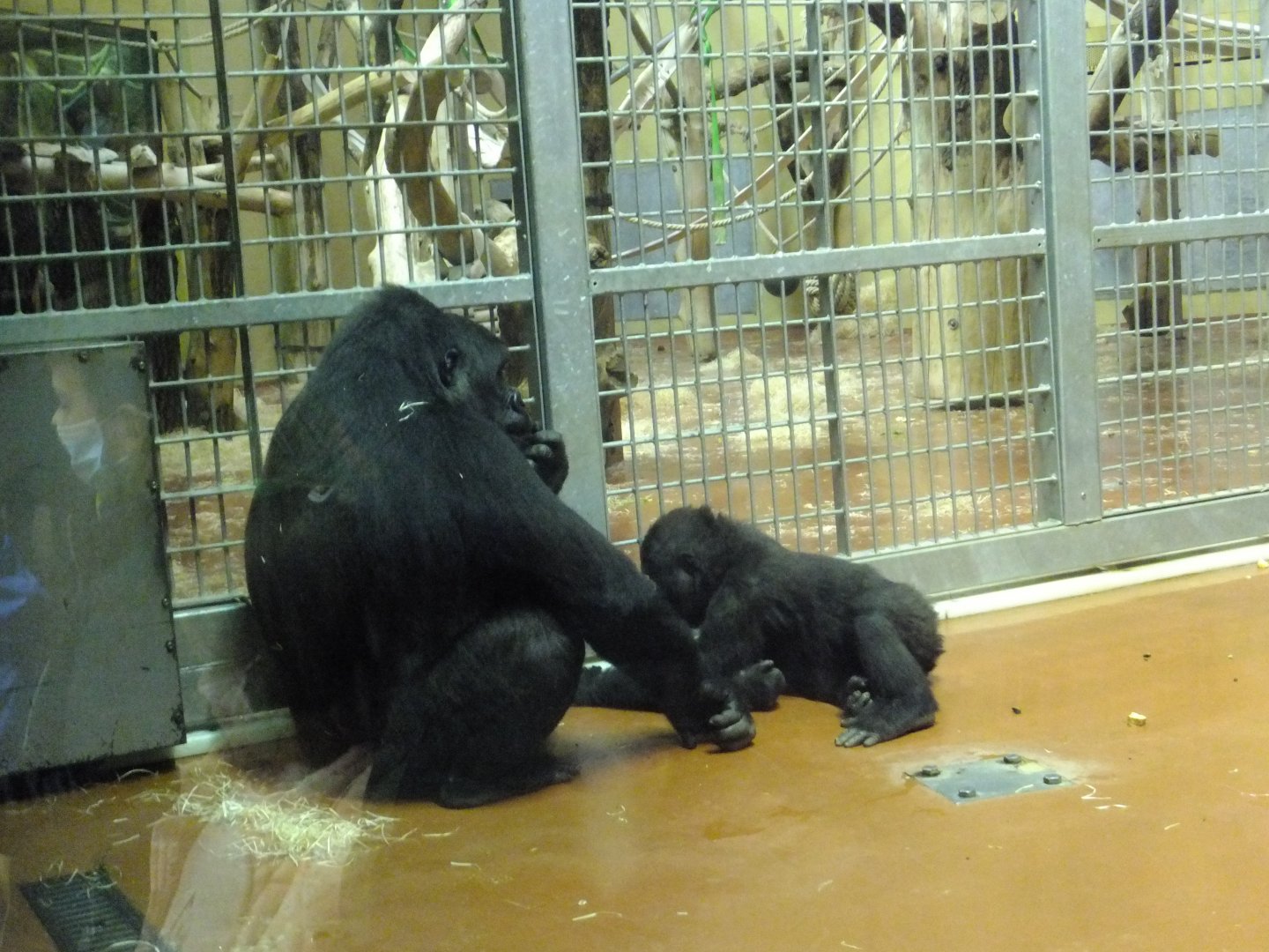 Indigo with her mum, Iringa