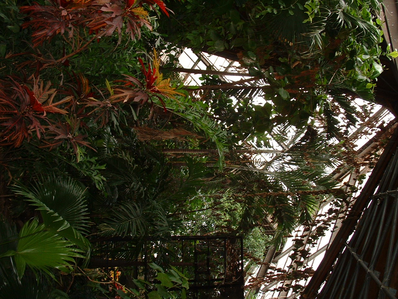 Indo Malaya Pavilion - Nov 2012