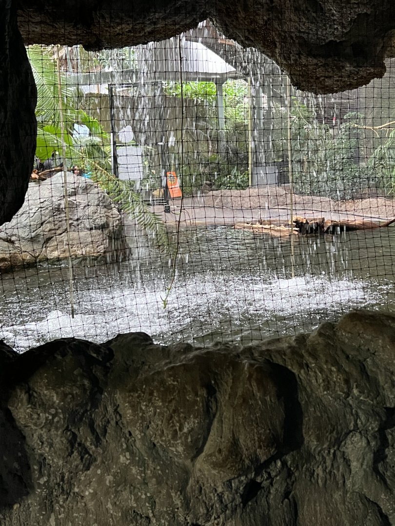 Indo-Malayan Waterfall