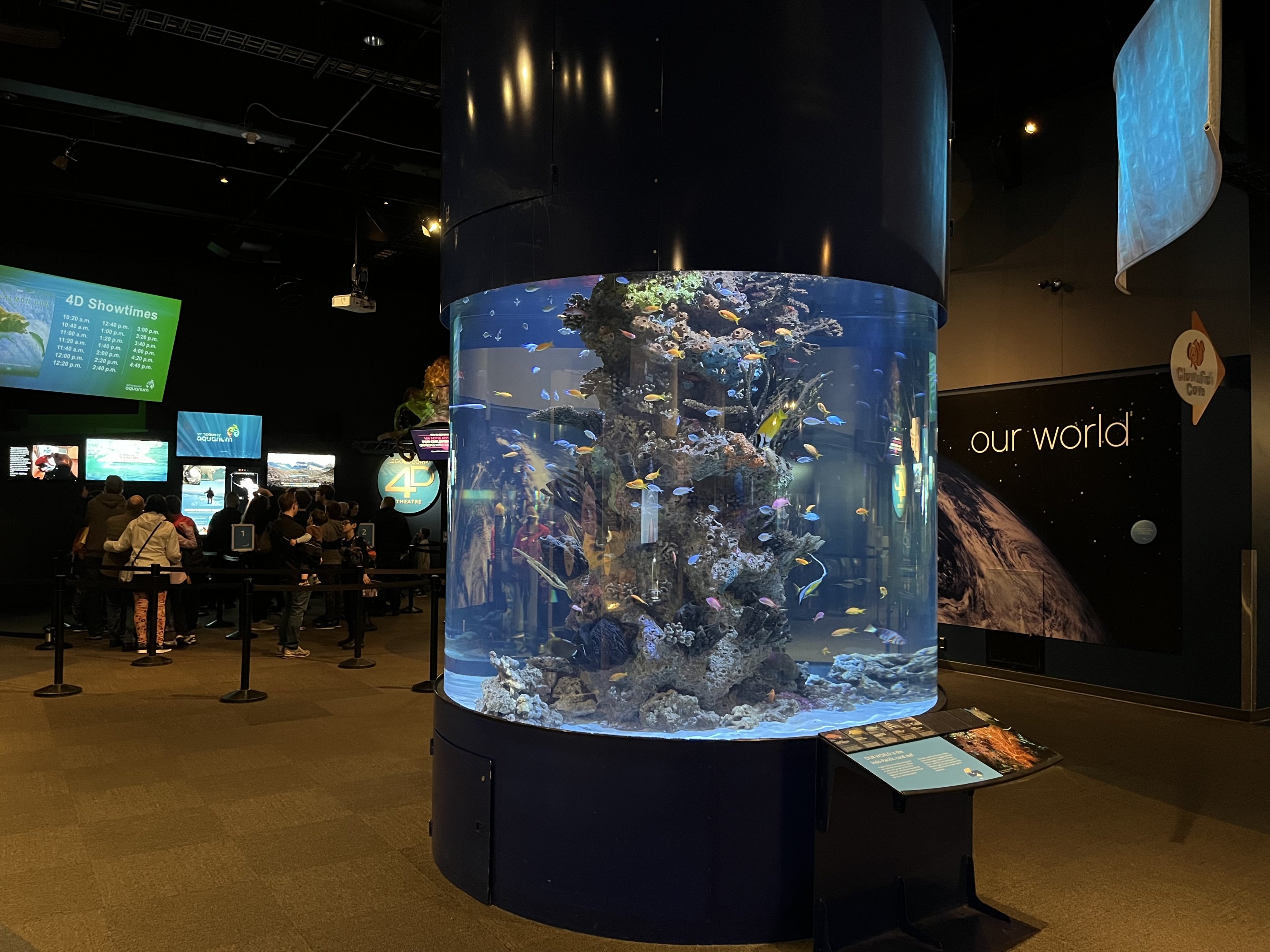 Indo-Pacific Coral Reef Exhibit