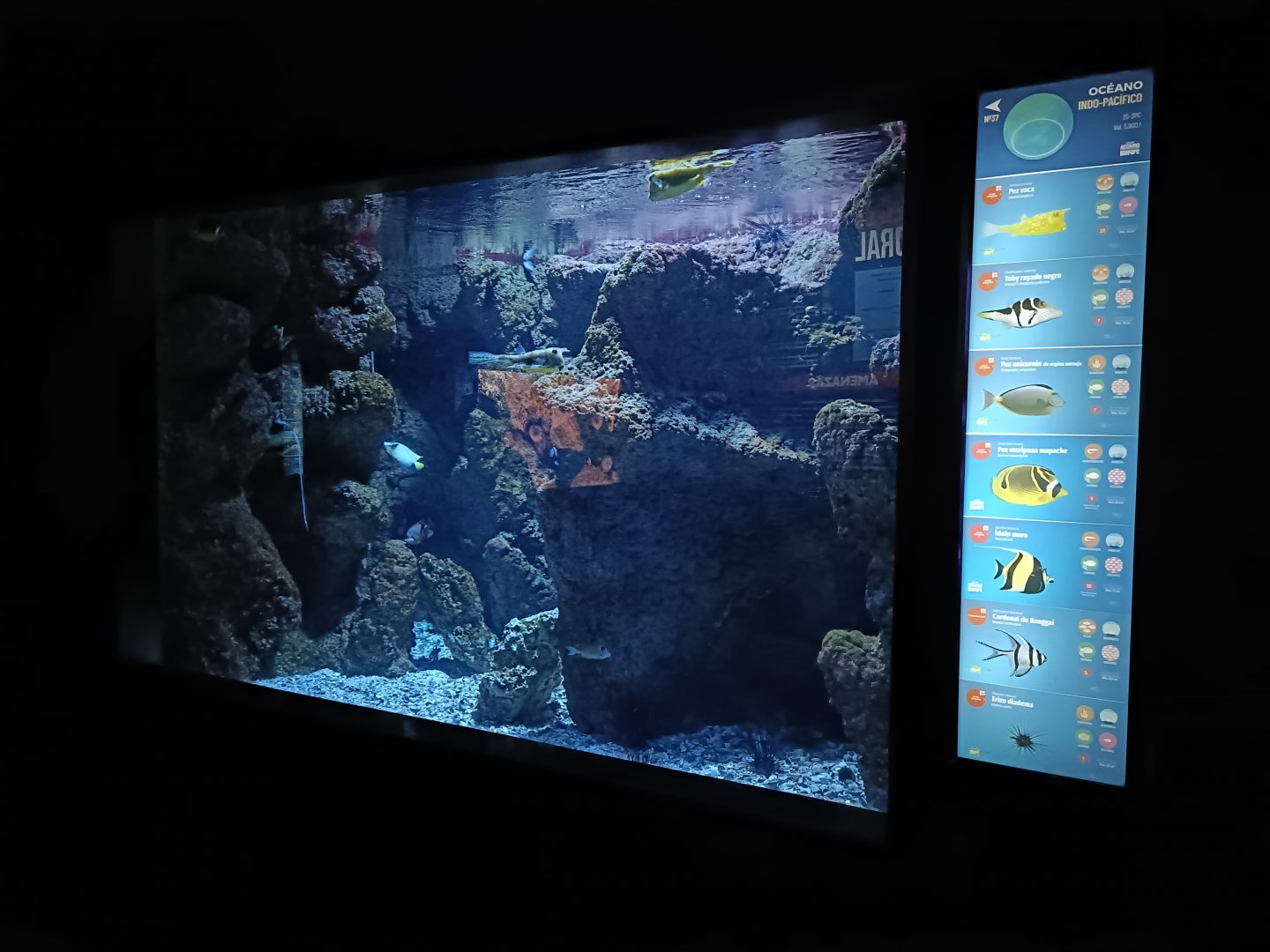 Indo-Pacific exhibit - Bioparc Acuario de Gijón