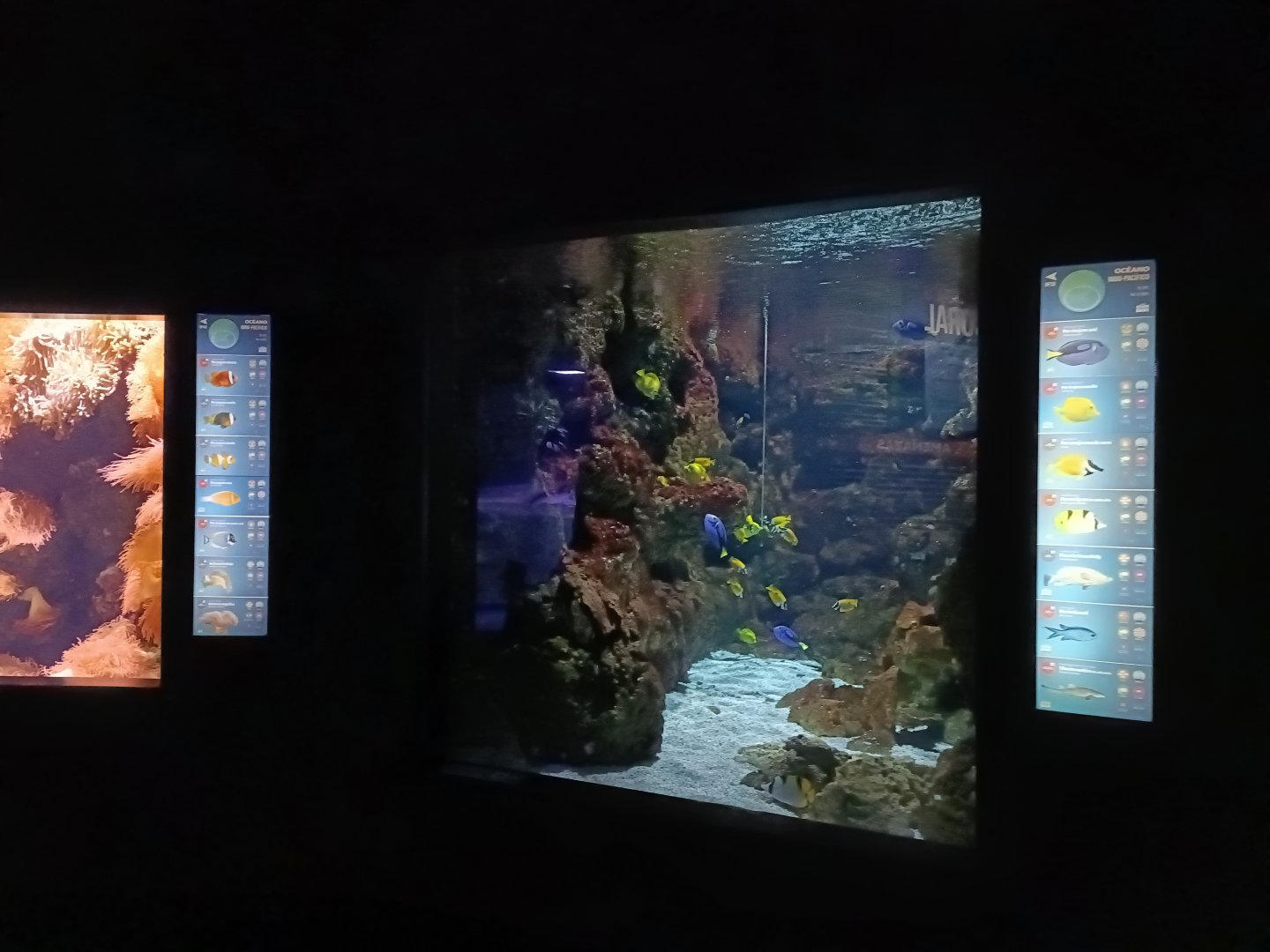 Indo-Pacific exhibit - Bioparc Acuario de Gijón