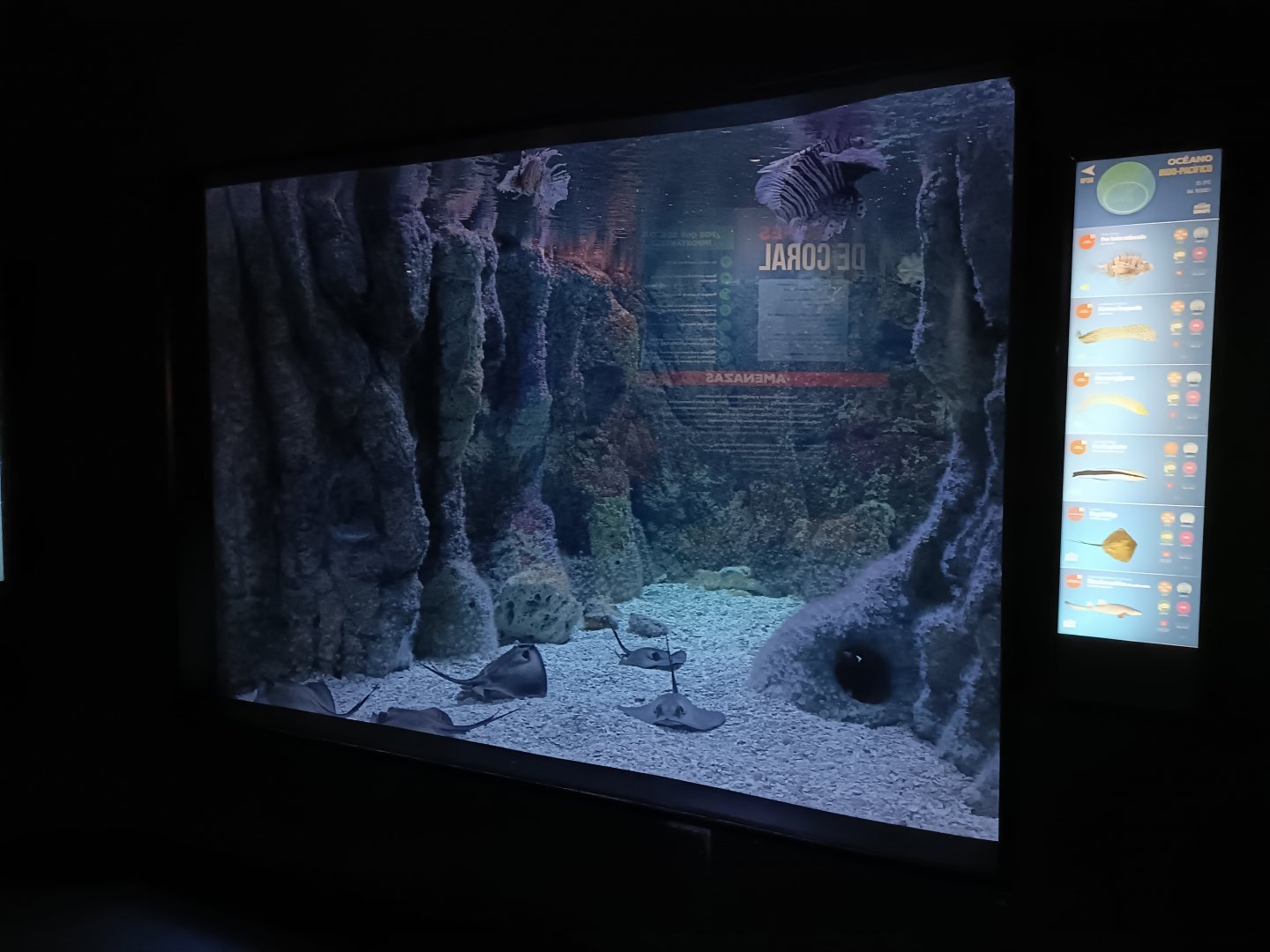 Indo-Pacific exhibit - Bioparc Acuario de Gijón