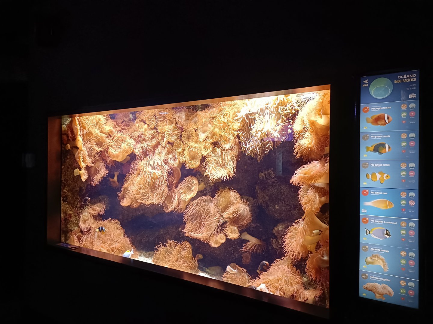 Indo-Pacific exhibit - Bioparc Acuario de Gijón