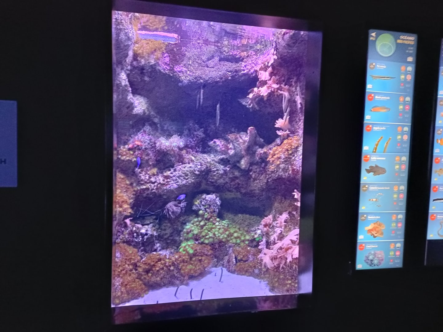 Indo-Pacific exhibit - Bioparc Acuario de Gijón