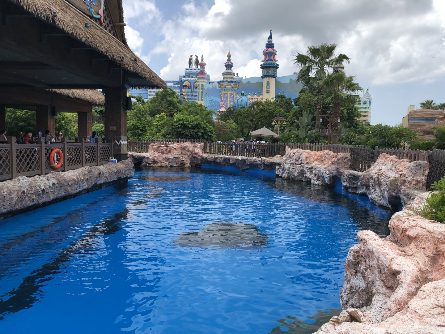 Indo-Pacific Humpback Dolphin Exhibit