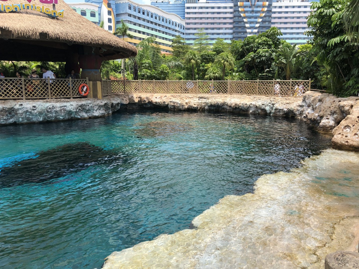 Indo-Pacific Humpback Dolphin Exhibit