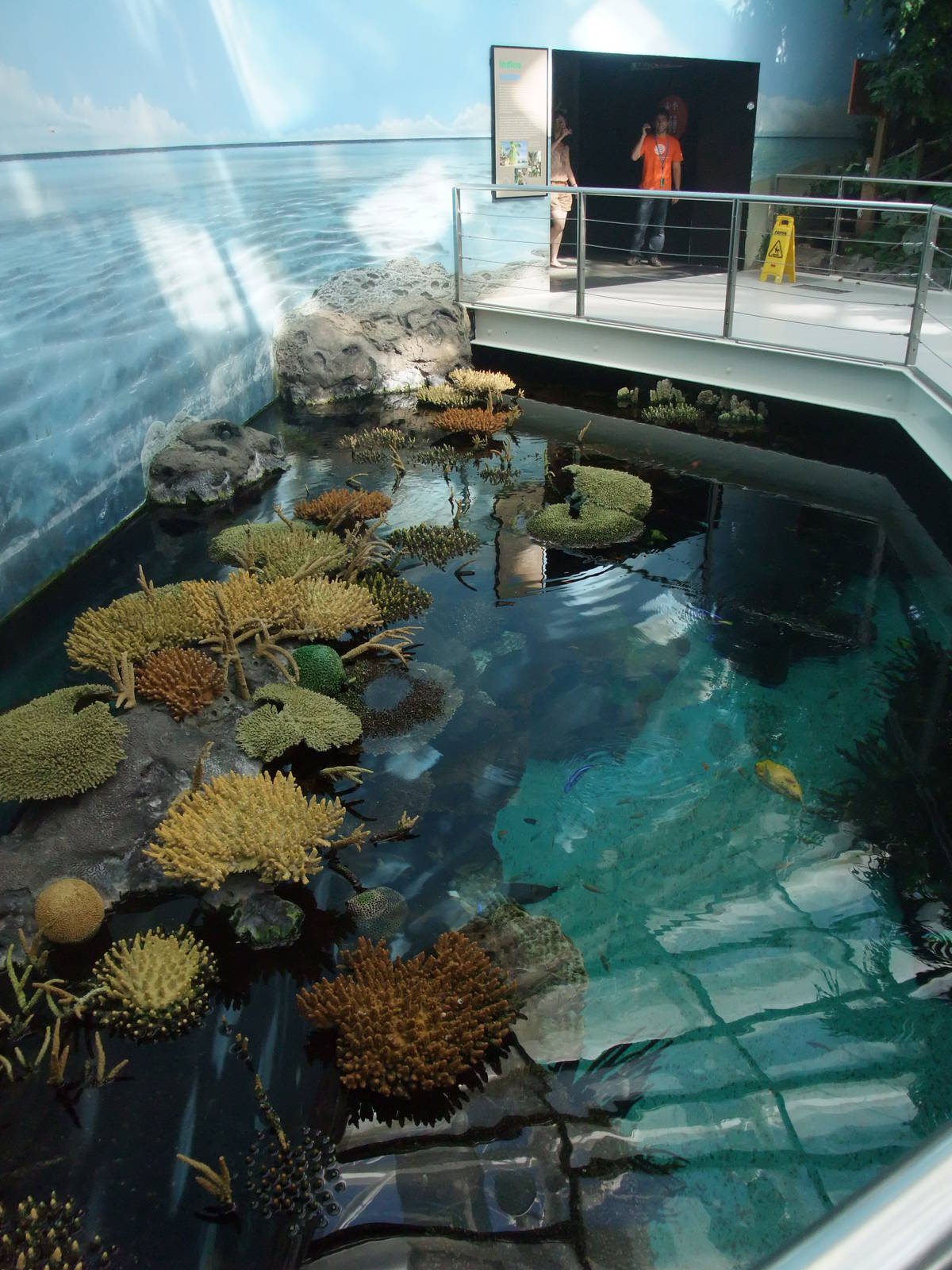 Indo-Pacific Reef at Lisbon Oceanarium, 25/05/11