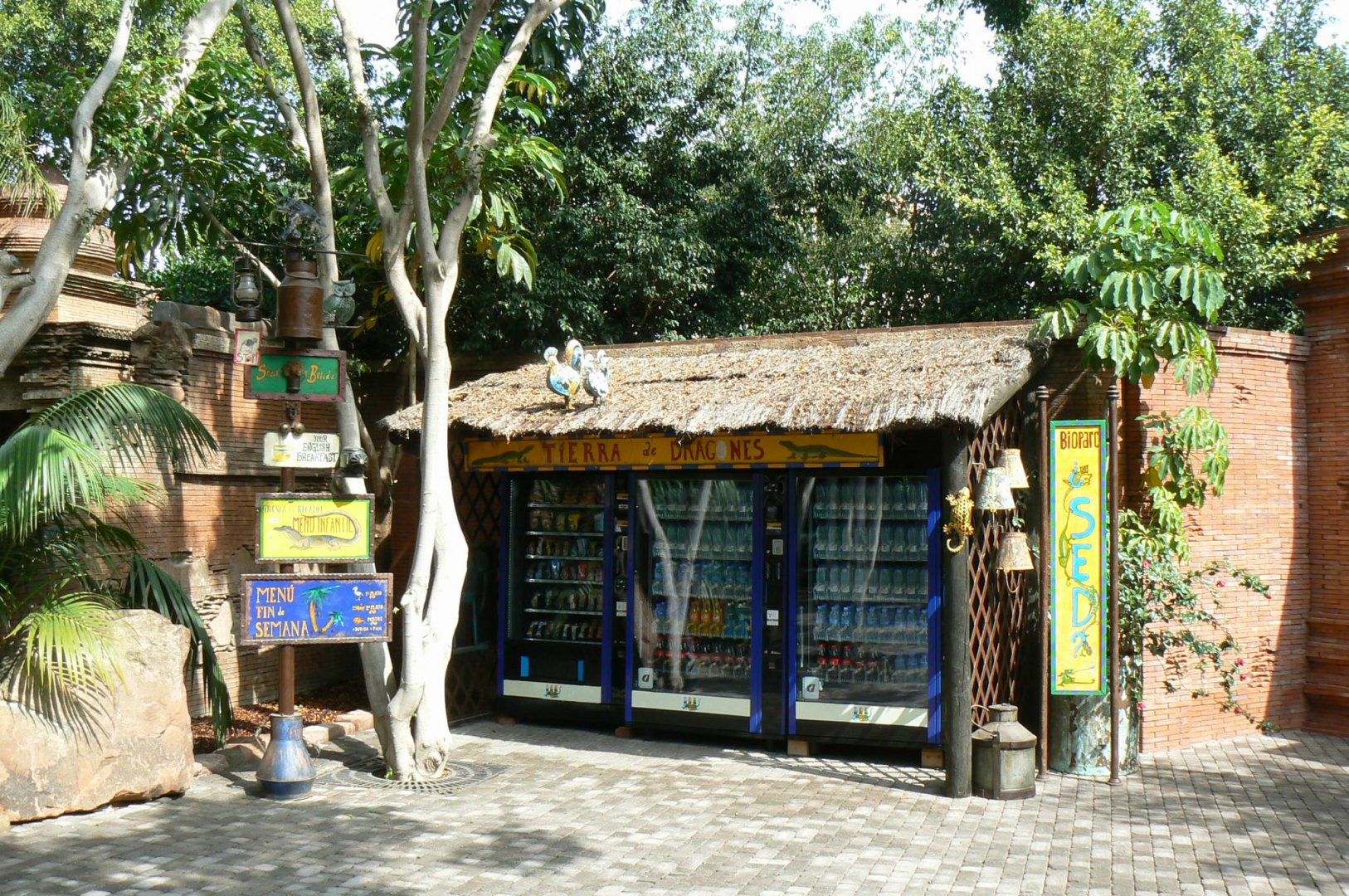 Indo-Pacific reptiles area setting