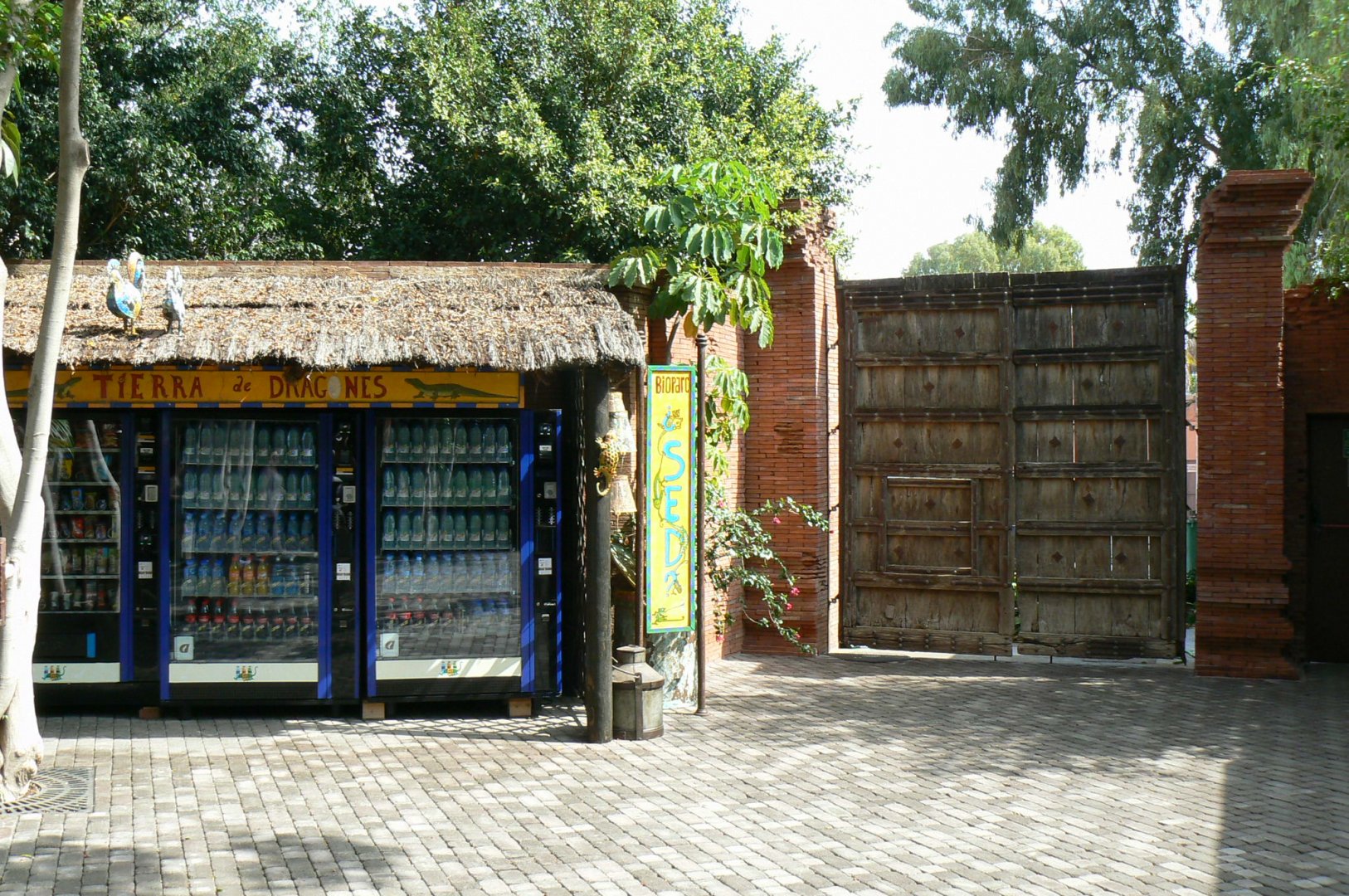 Indo-Pacific reptiles area setting