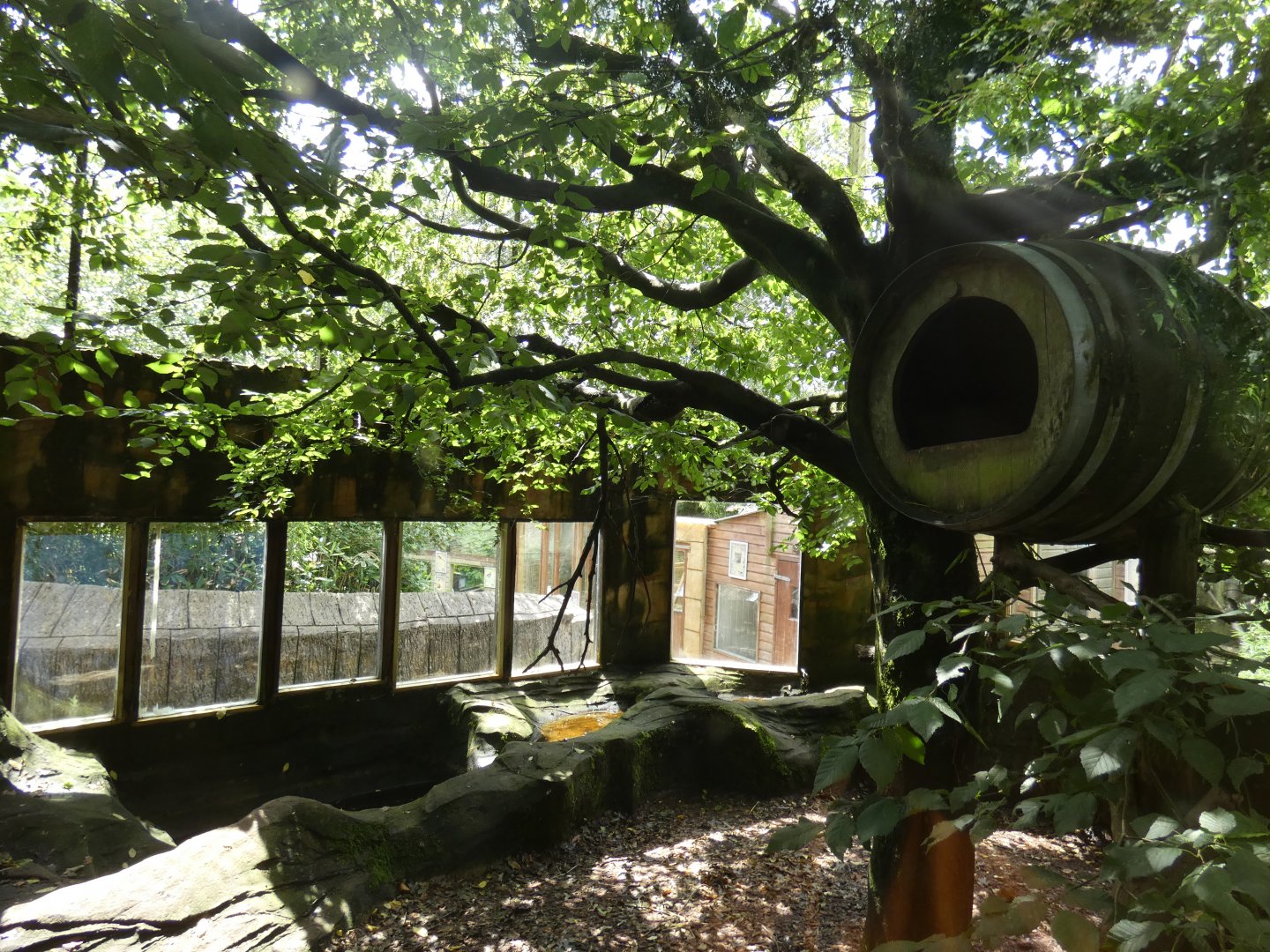 Indochinese Binturong enclosure