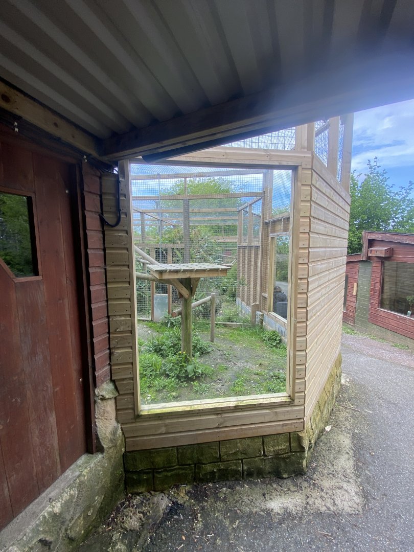 Indochinese clouded leopard enclosure 150522