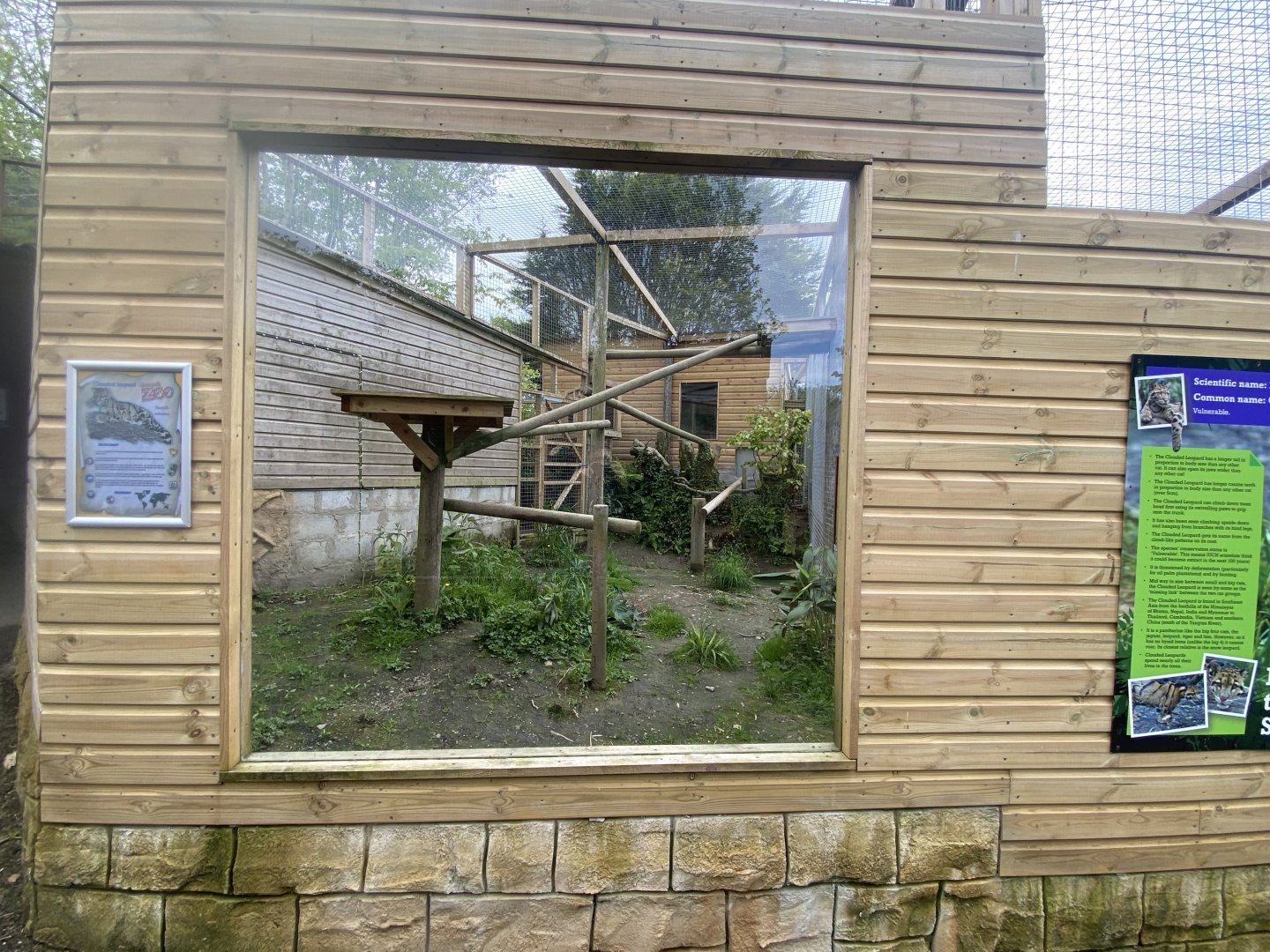 Indochinese clouded leopard enclosure 150522